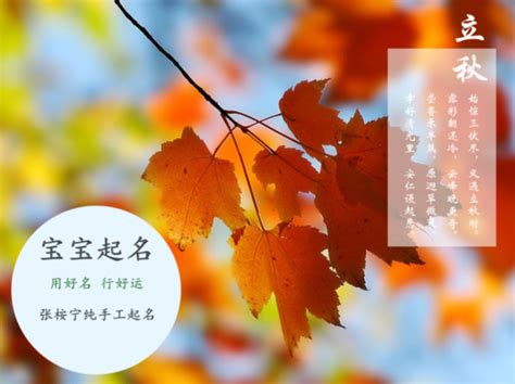 姓王 取名|独特好听姓王男孩名字 优选258个